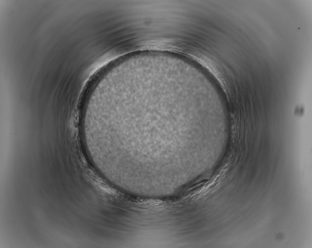 X0000098070971200805020954