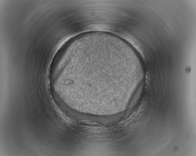 X0000098070972200805020954