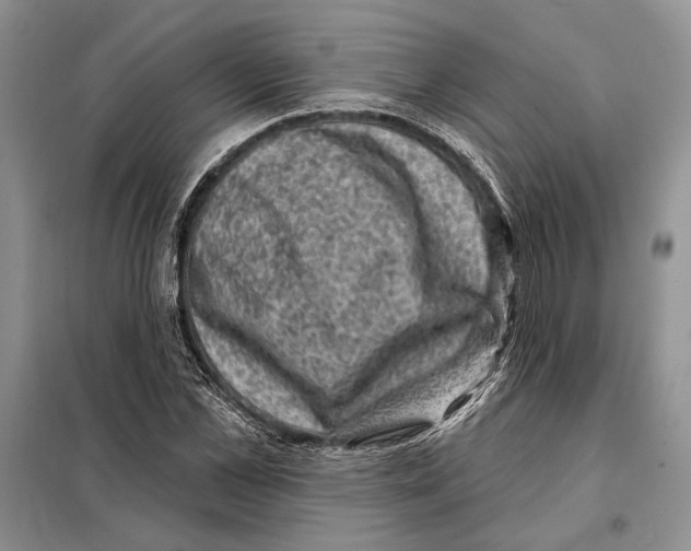 X0000098070973200805020954