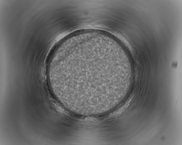 X0000098070974200805020954