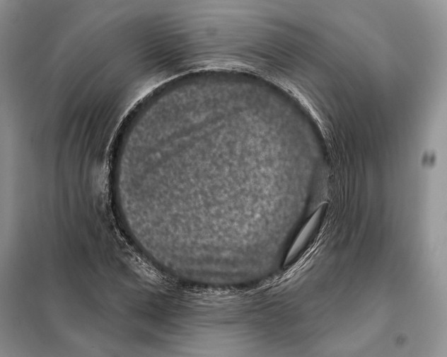 X0000098070975200805020954