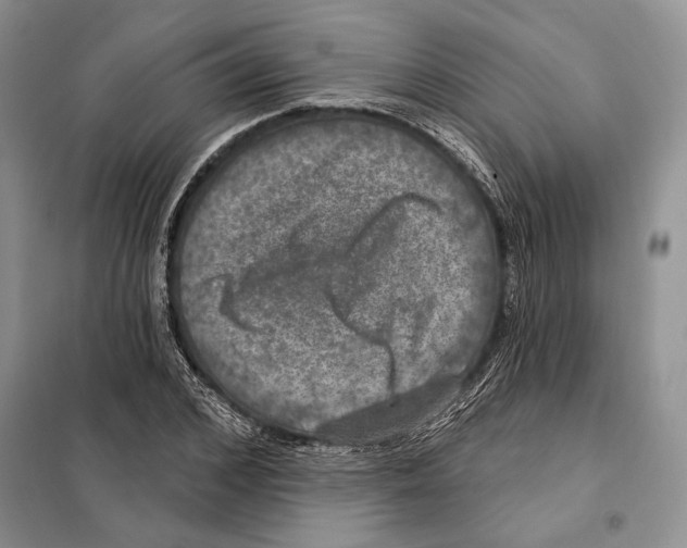 X0000098070976200805020954