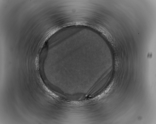 X0000098070977200805020954