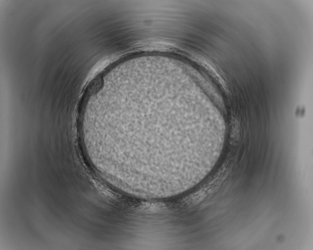 X0000098070978200805020954