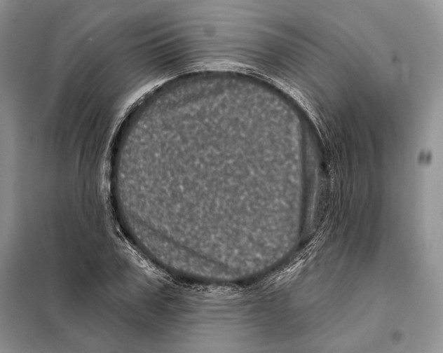 X0000098070979200805020953