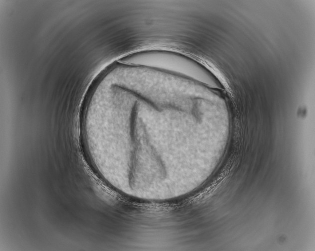 X0000098070980200805020953