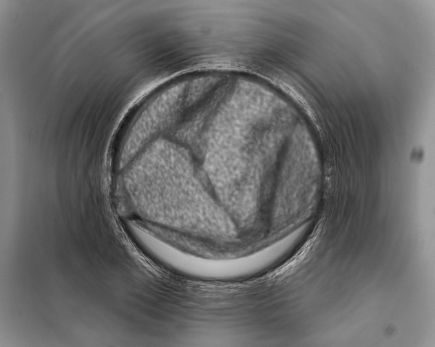 X0000098070981200805020953