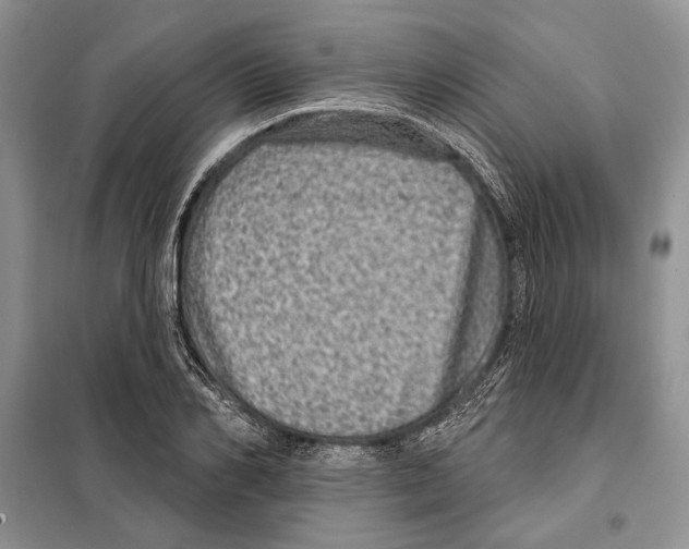 X0000098070982200805020953