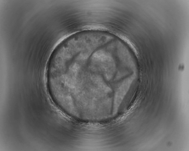 X0000098070983200805020953