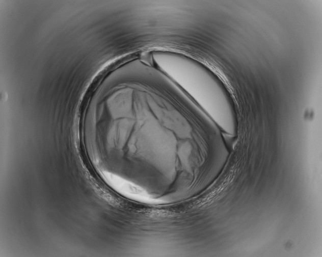 X0000098070984200805020953