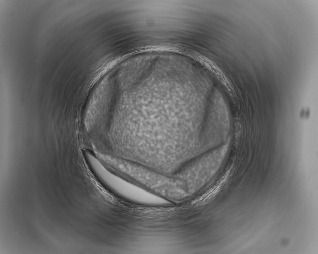 X0000098070985200805020953