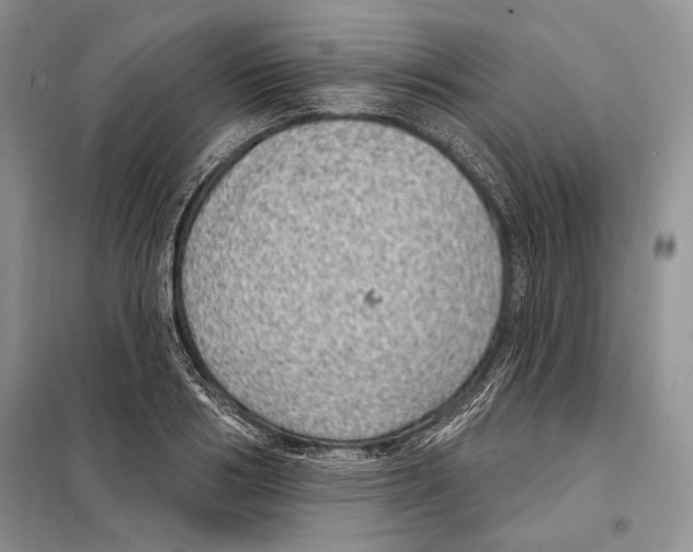 X0000098070986200805020953