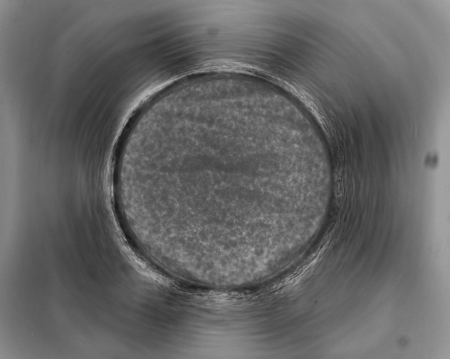 X0000098070987200805020953