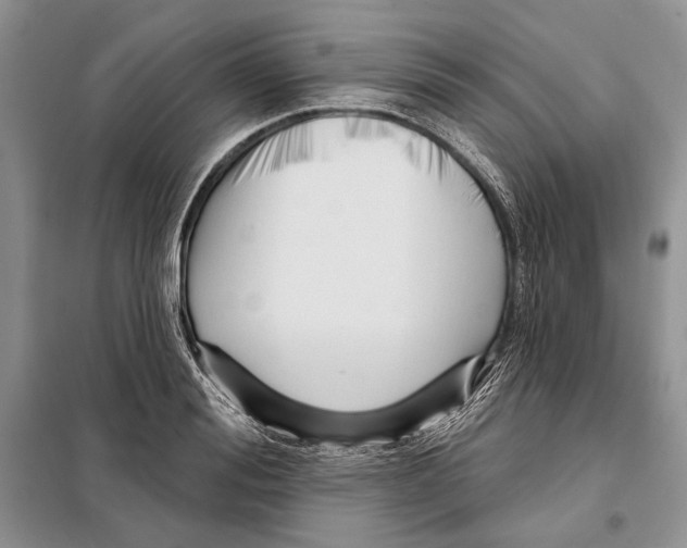 X0000098070988200805020953