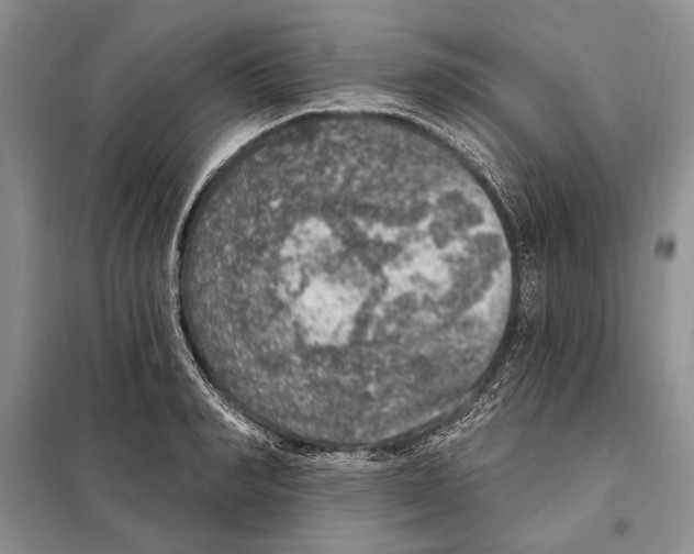 X0000098070990200805020953