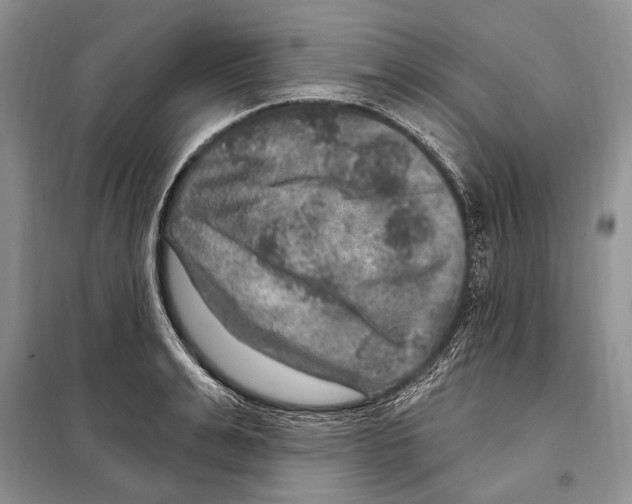 X0000098070991200805020953