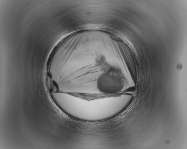 X0000098070992200805020953