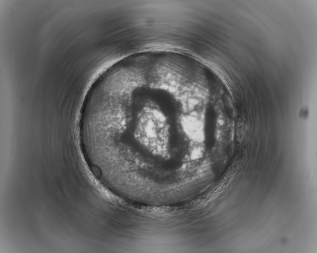 X0000098070995200805020953