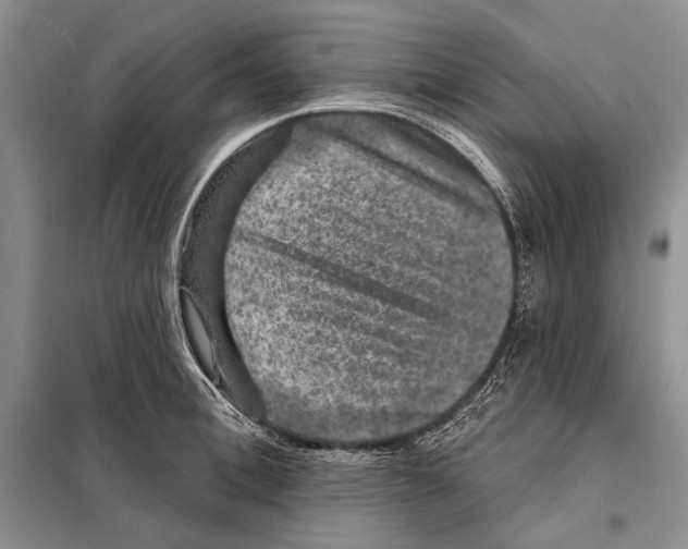 X0000098070996200805020953