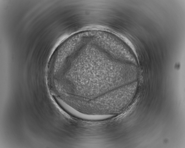 X0000098070997200805020953