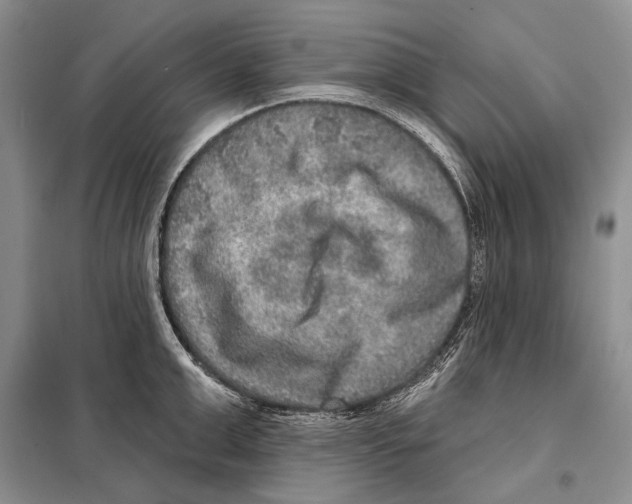 X0000098070999200805020953