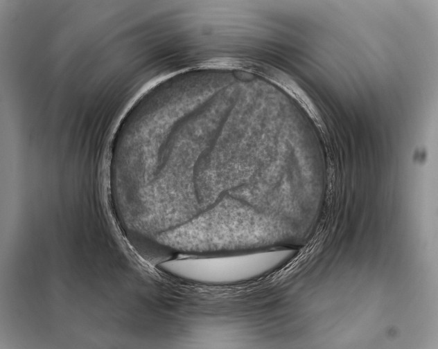 X0000098071000200805020953