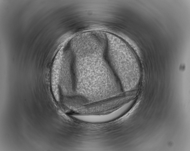 X0000098071001200805020953