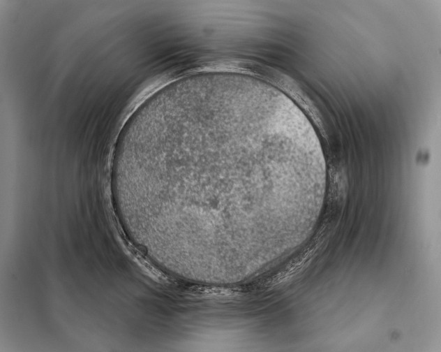 X0000098071002200805020953