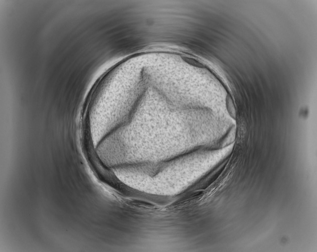 X0000098071003200805020953