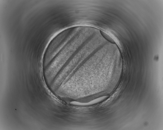 X0000098071004200805020953