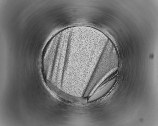 X0000098071005200805020953