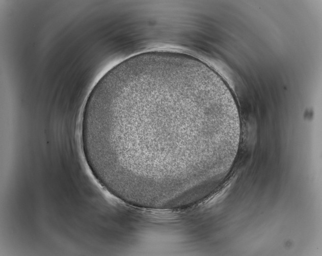 X0000098071007200805020953