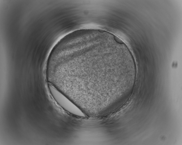 X0000098071008200805020953