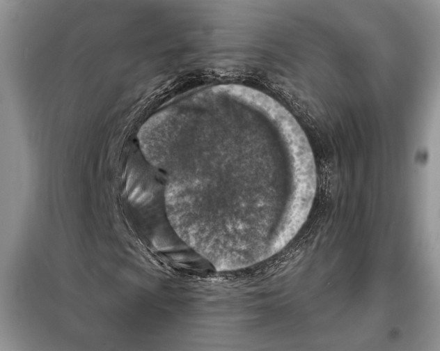 X0000098071009200805020952