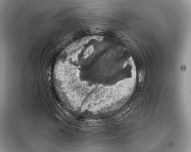 X0000098071011200805020952