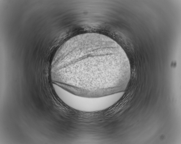 X0000098071012200805020952