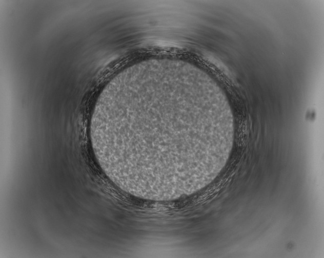 X0000098071013200805020952