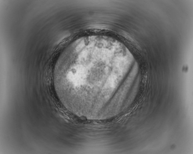 X0000098071014200805020952