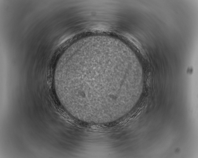 X0000098071015200805020952