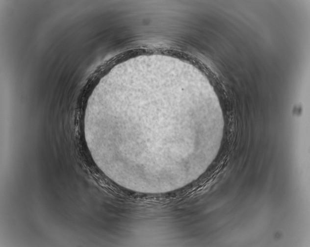 X0000098071016200805020952