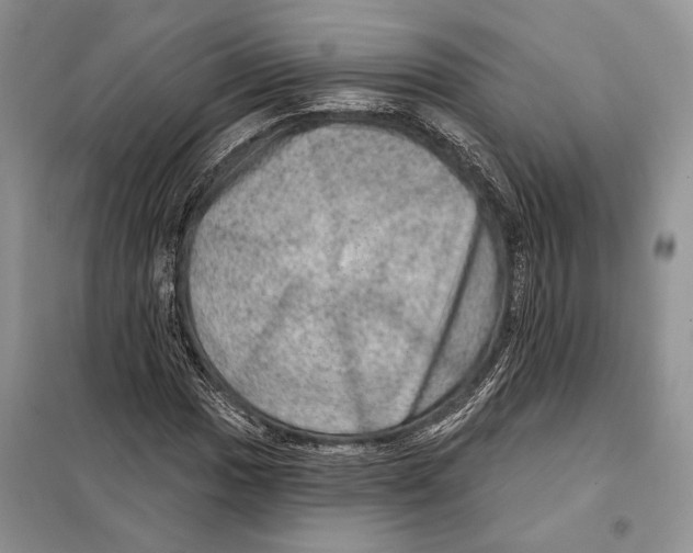 X0000098071017200805020952