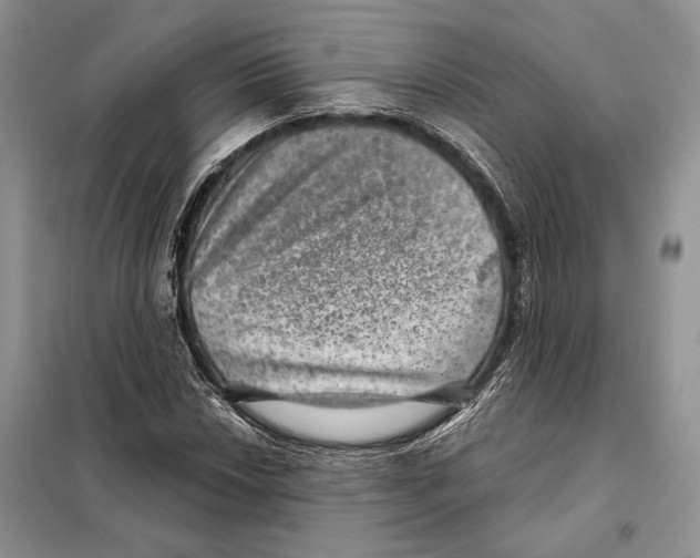 X0000098071018200805020952