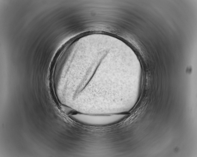 X0000098071020200805020952