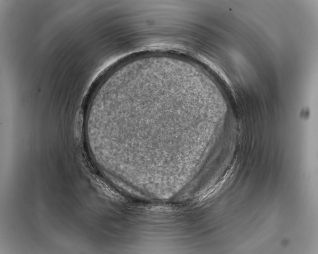 X0000098071021200805020952