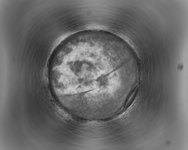 X0000098071022200805020952