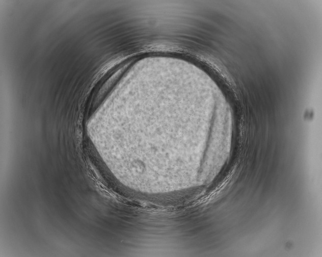 X0000098071025200805020952