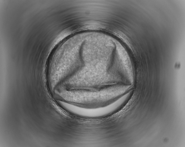 X0000098071026200805020952