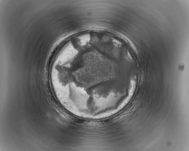 X0000098071027200805020952