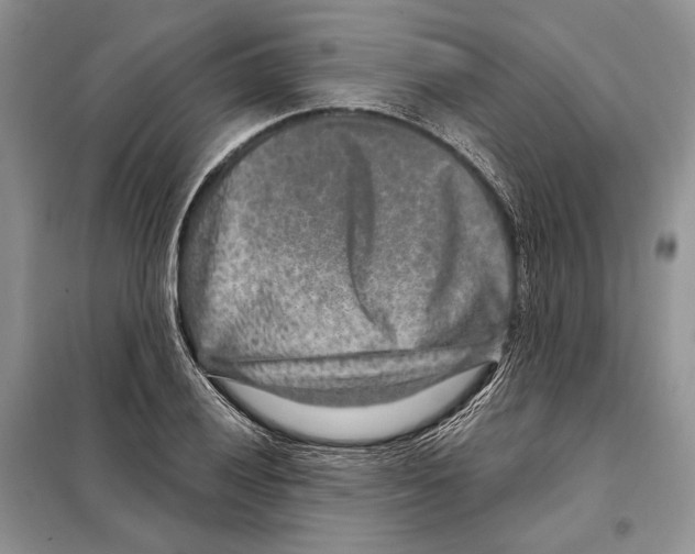 X0000098071028200805020952