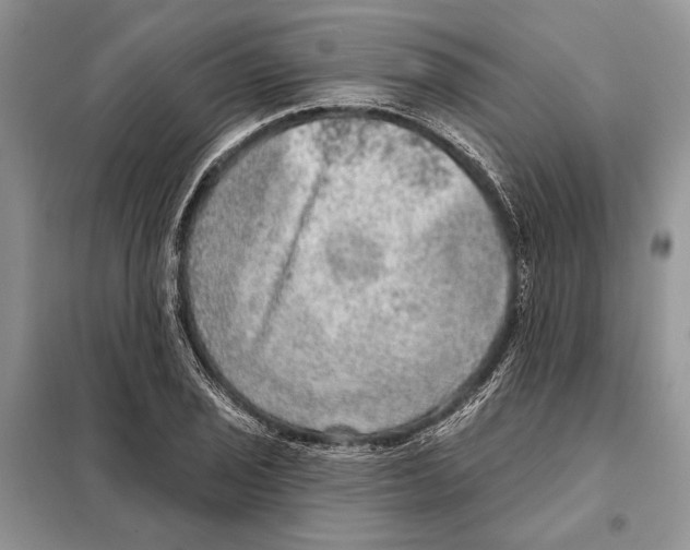 X0000098071029200805020952